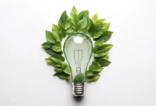 1147 Green Energy Name Ideas For An Eco-Friendly Business