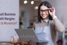 How Small Business Owners Can Maximize Profit Margins?