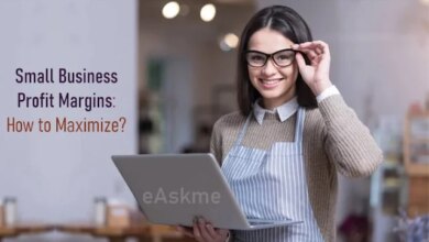 How Small Business Owners Can Maximize Profit Margins?