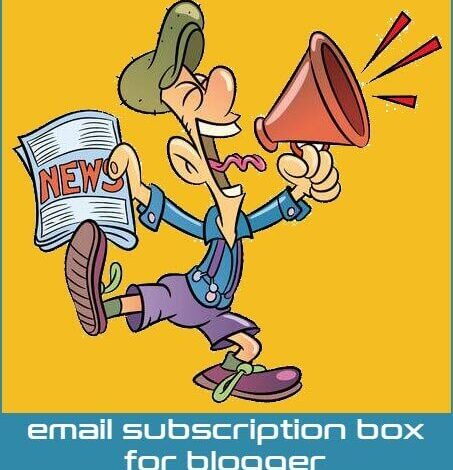 Add clean email subscription box below blogger posts