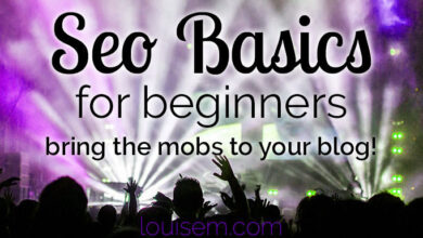 Powerful SEO Basics for Beginners to Get Google Love!